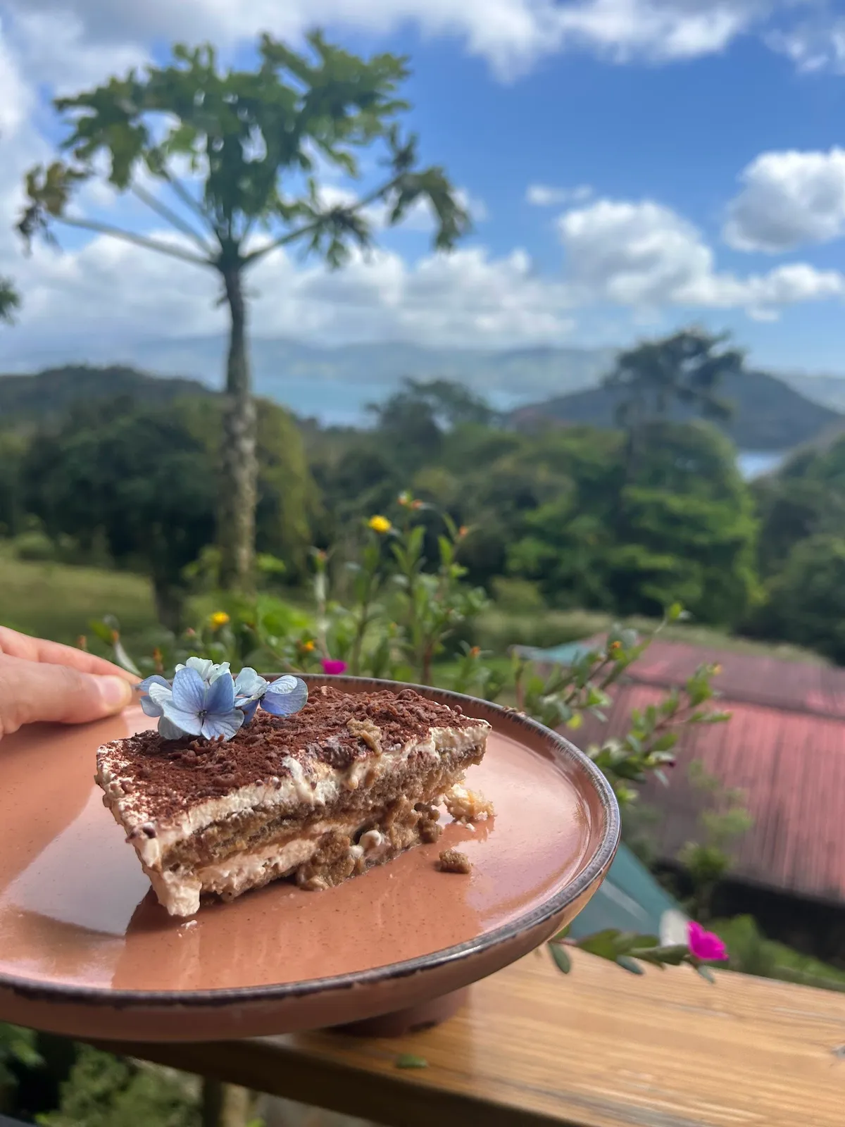Tiramisu garnished with a hydrangea, the lake behind