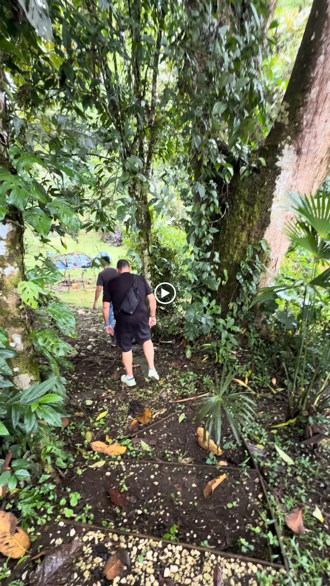 Walking down a shaded jungle trail toward the gardens